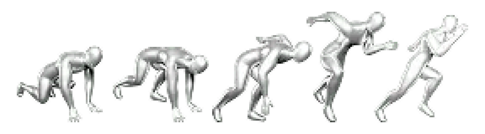 Animation Library
